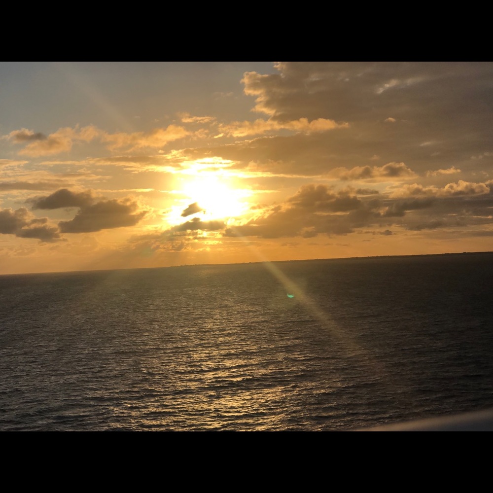 Meet your Posher, Pamela